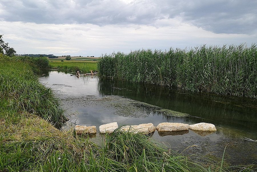 biotope network with new dynamics ©LPV Regensburg Boulders, rootstocks and timber structures in the Grosse Laber near Schierling, district of Regensburg, now positively changing the flow dynamics of the river