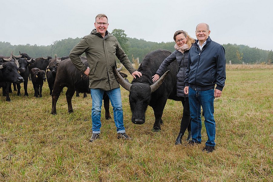 Exkursion im KoMBI-Projekt ©Alexander Paul Brandes Altkanzler Olaf Scholz, Landwirtschaftsministerin Hanka Mittelstädt und Landtagsabgeordneter Johannes Funke streicheln einen Wasserbüffel.