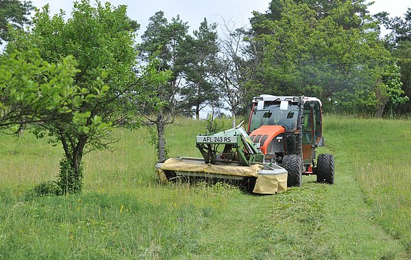 Mähen einer Streuobstwiese mit kleinem Traktor.