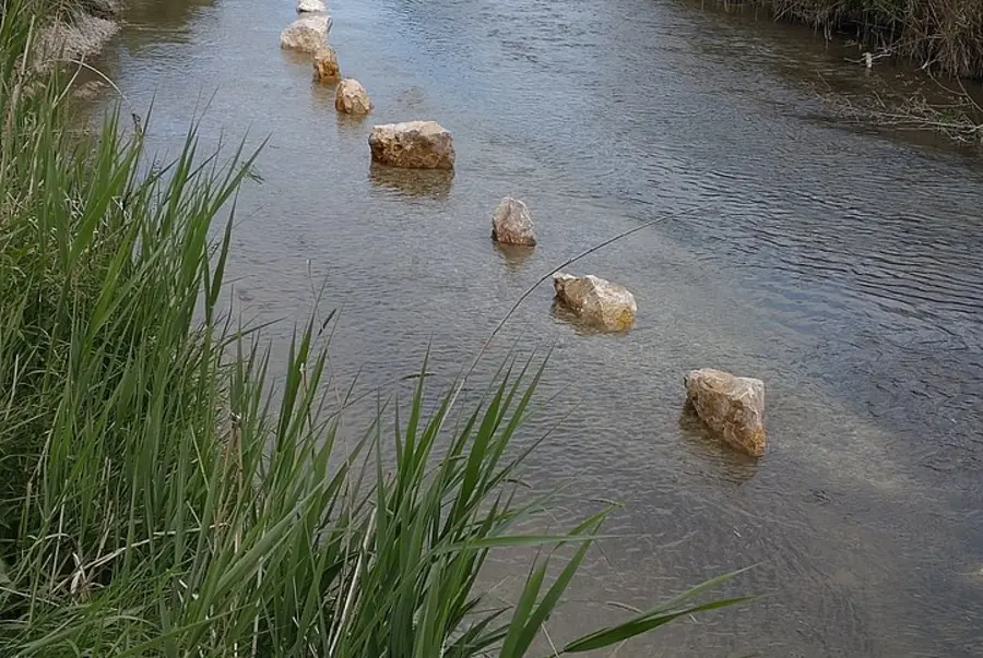 new gravel spawning ground has been created in the Grosse Laber near Schierling, district of Regensburg