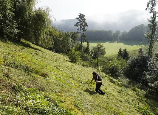 Landwirt mäht mit der Sense auf steilem Hang für den Biotopverbund der Knautien-Sandbiene