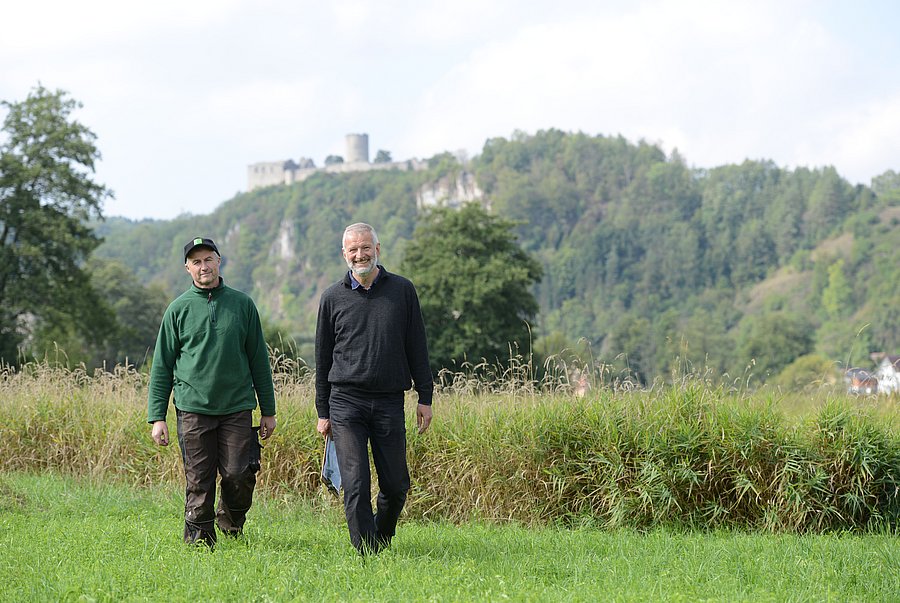 Ein Landwirt und ein Berater laufen auf einer grünen Wiese