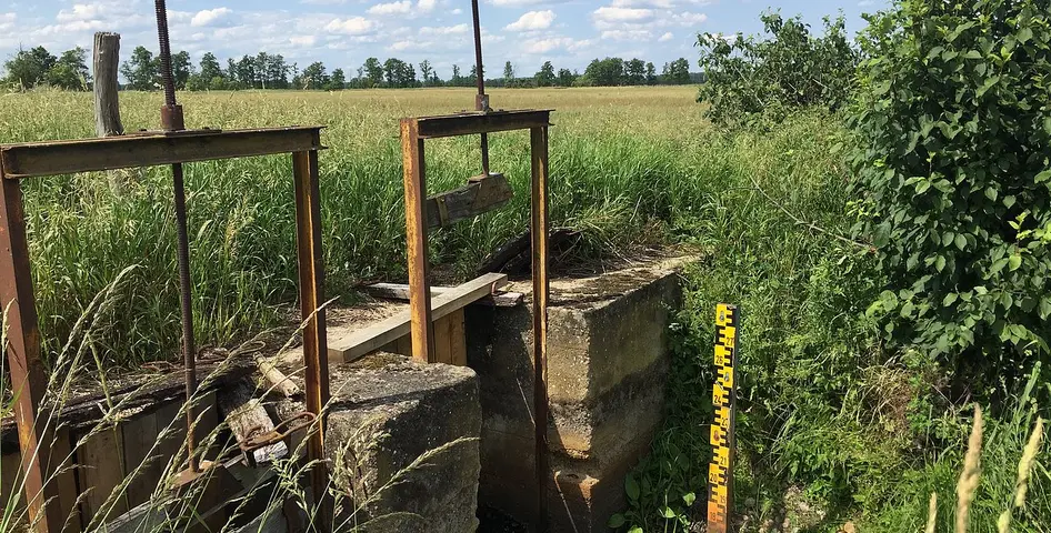 Staubauwerk, Extreme Trockenheit, Belziger Landschaftswiesen, C. Dammann (DVL e.V.)