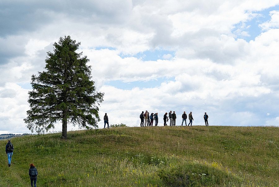 Gruppe von Menschen am Horizont neben einem Baum auf einer Wiese