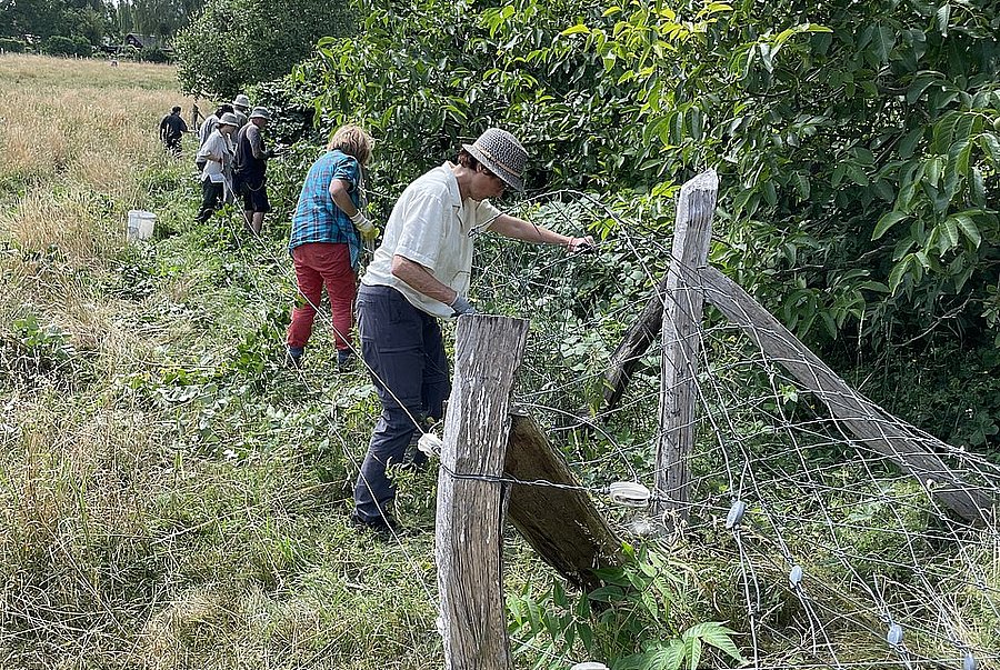 Mehrere Personen versetzen einen Weidezaun am Rande einer Fläche.