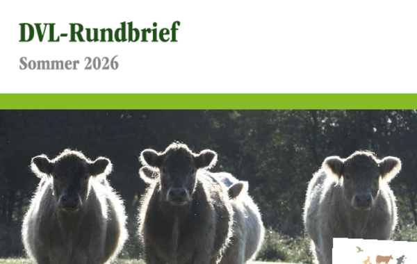 Titel DVL-Rundbrief Sommer 2026
