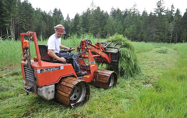 Landwirt sitzt auf kleinem Traktor und transportiert Mähgut.