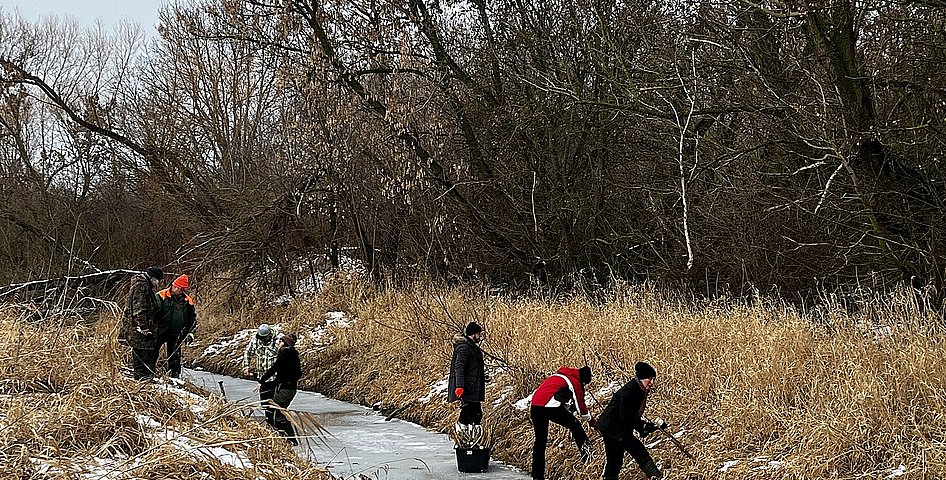 Eine Gruppe Teilnehmende stehen auf einem zugefrorenen Bach und bringen Weidenstecklinge am Ufer ein