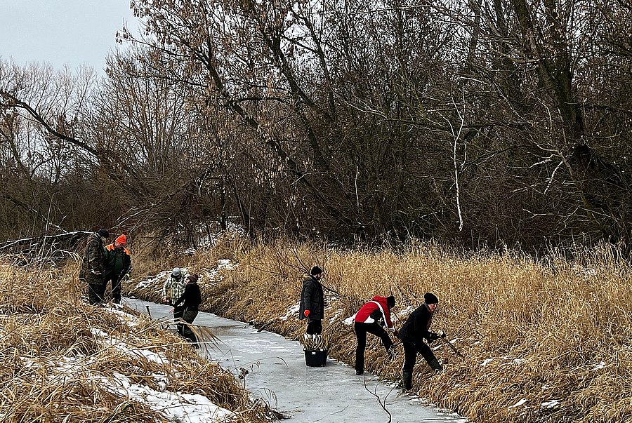 Eine Gruppe Teilnehmende stehen auf einem zugefrorenen Bach und bringen Weidenstecklinge am Ufer ein