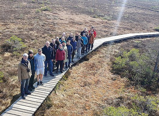 Gruppe von Menschen auf einem Steg im Moor aus der Vogelperspektive