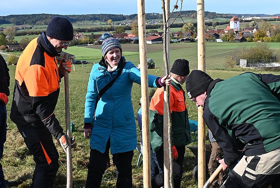 Stefanie Haacke vom Landschaftspflegeverband Mittelfranken mit Kursteilnehmenden beim Pflanzen von Streuobst in Feuchtwangen im Rahmen der Weiterbildung "LANDSCHAFT ANPACKEN"