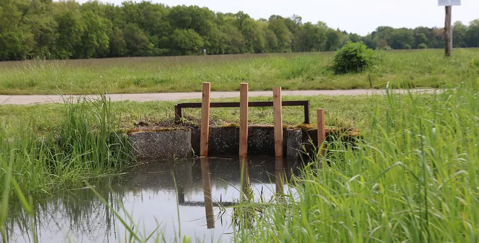 Ein Schütz staut das Wasser in den Queichwiesen in Rheinland-Pfalz.