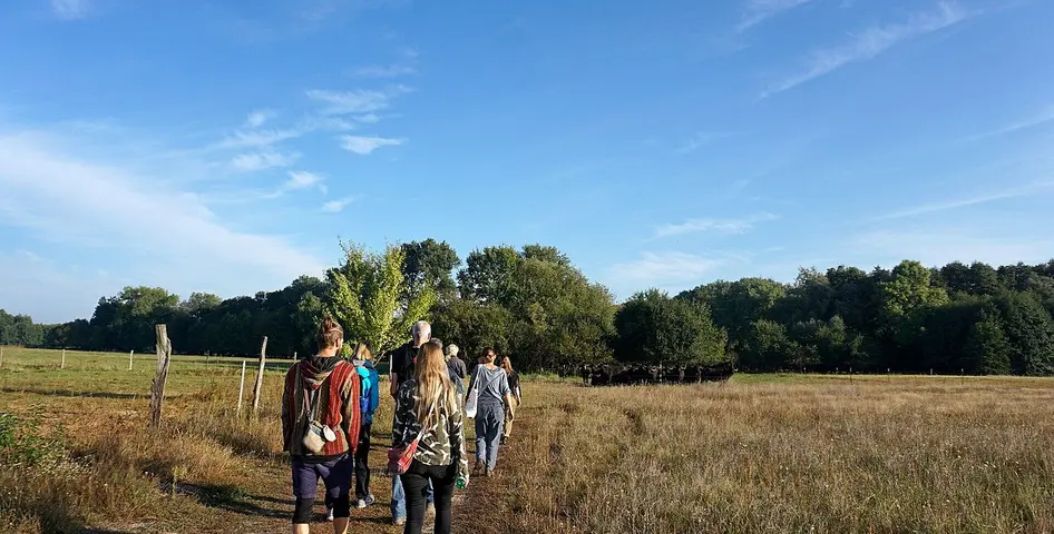 DLPT-Exkursion "Obstanbau und Agroforst in der Havellandschaft"