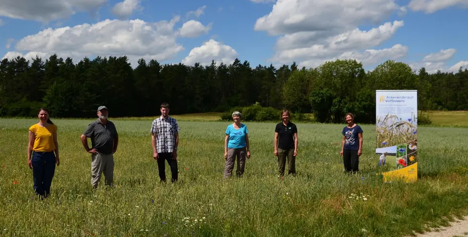 Ackerwildkraut-Wettbewerb 2020 in Oberfranken ©Pauline Unseld, DVL