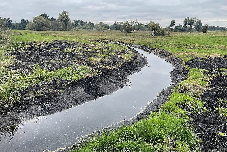 water on for the moor! ©LPV Kelheim an old drainage ditch has been tapped - now water can flow back into the moor in the Niederleierndorf nature reserve, district of Kelheim