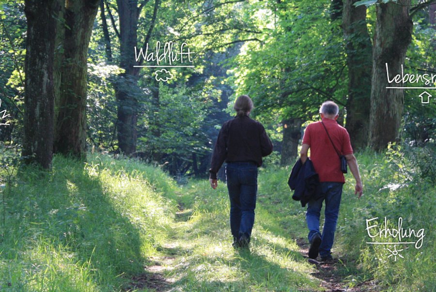 Zwei Erwachsene laufen in einen Laubwald.