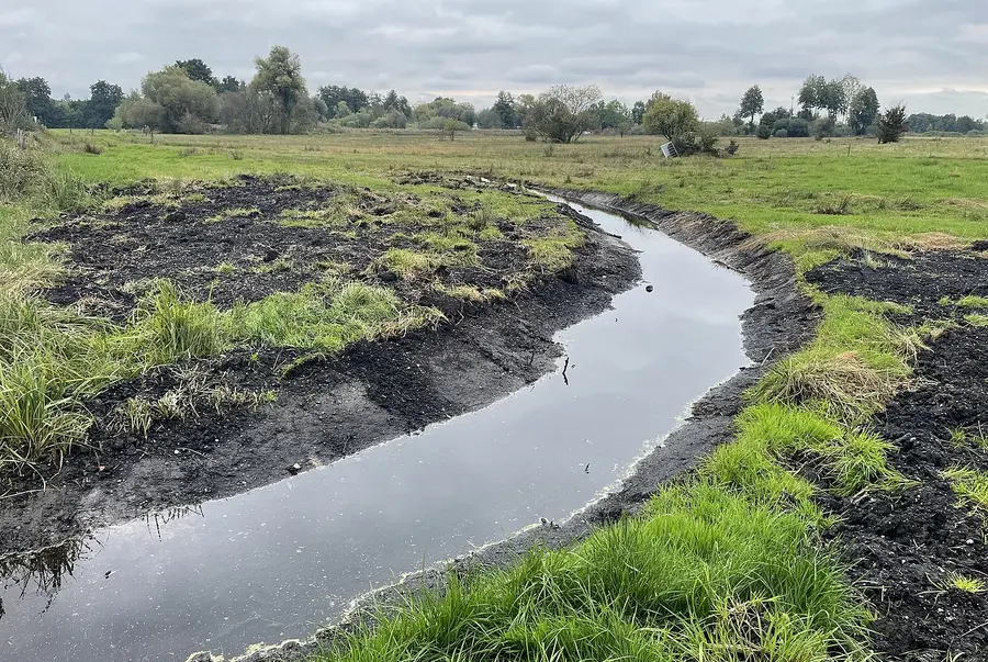 an old drainage ditch has been tapped - now water can flow back into the moor in the Niederleierndorf nature reserve, district of Kelheim 
