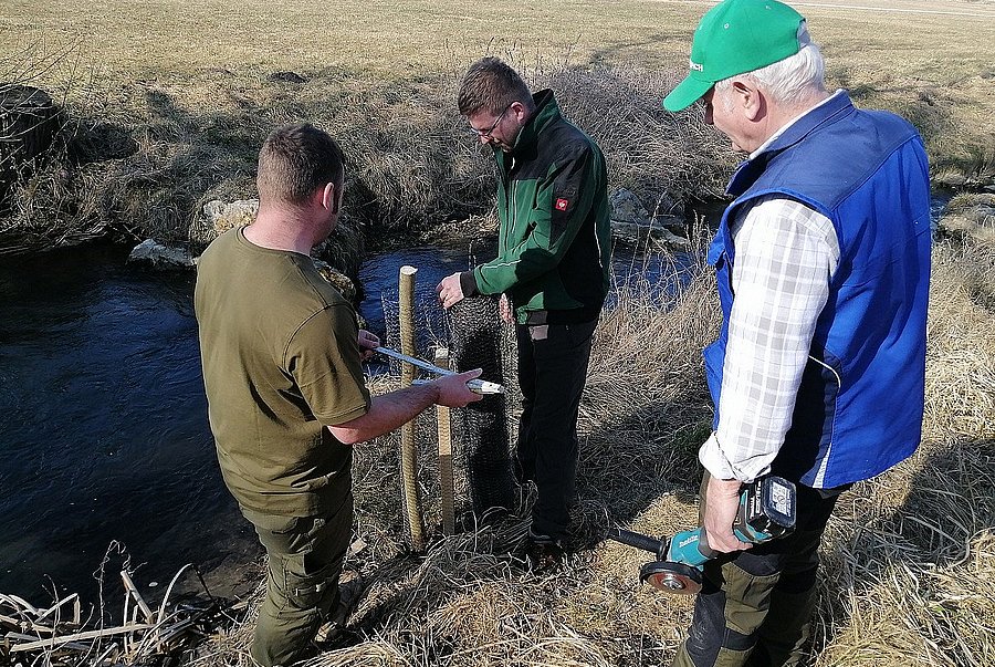 Gemeinschaftliche Arbeit lohnt sich Freiwillige des Fischereivereins setzen Weidenstecklinge an Gräben und am Ufer der Großen Laber für Beschattung und helfen somit Klimaschutz und Biodiversität, Landkreis Regensburg, (c) LPV Regensburg