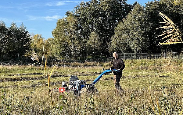 Ein Landschaftspfleger schneidet mit handgeführtem Mähgerät hohes Gras auf einer Wiese zurück.