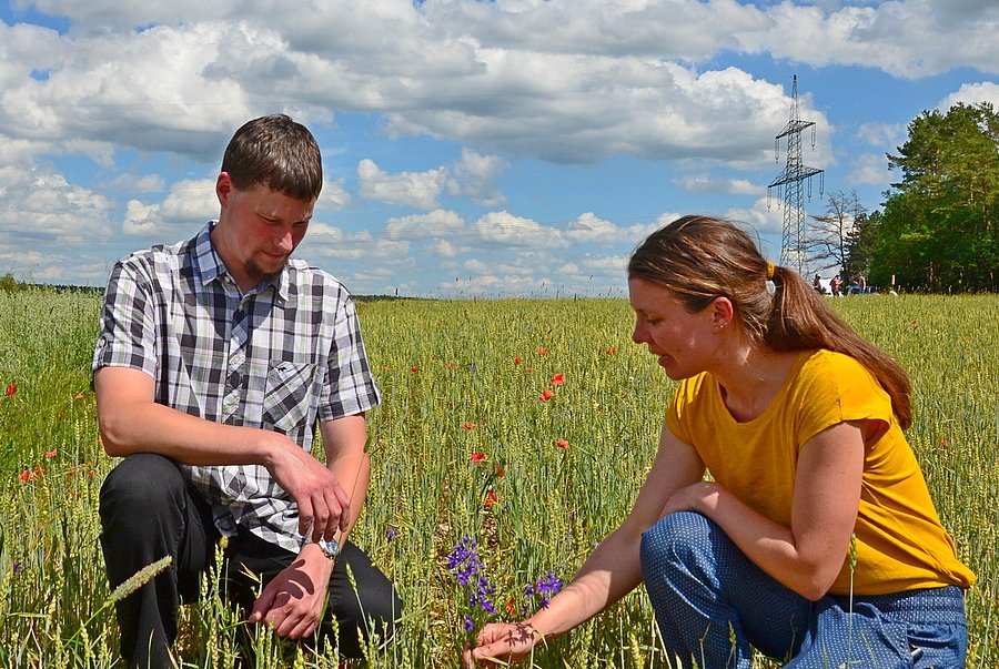 Projektleiterin Maike Fischer kniet neben Landwirt Markus Haslbeck in einem Acker. Gemeinsam betrachten sie Ackerwildkräuter.