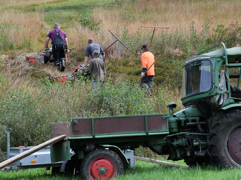 Männer mit Arbeitsgeräten im Moorgebiet